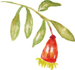 Wedding Icon Top Right