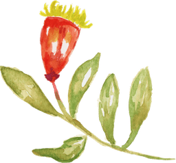 Wedding Icon Bottom Left