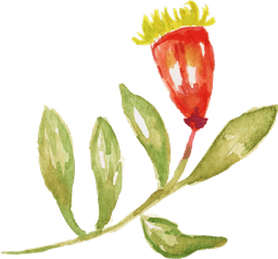 Wedding Icon Bottom Right