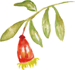 Wedding Icon Top Left